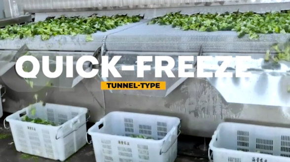 Tunnel de surgélation IQF pour légumes avec une capacité de 2000kg/h