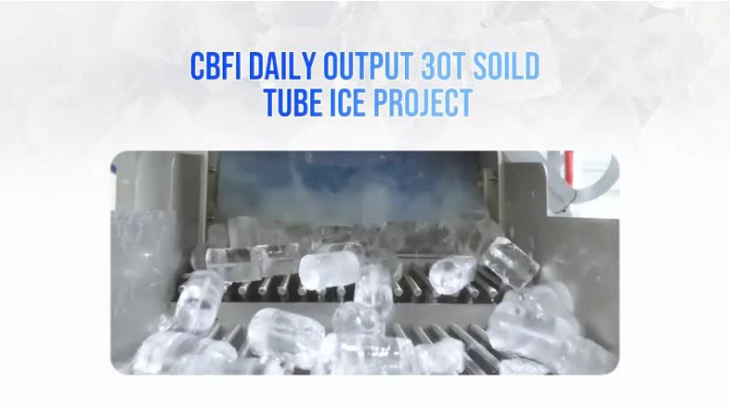 Usine de fabrication de glace en tube, 30 tonnes par jour (TV300)