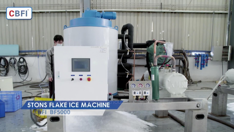 Machine de fabrication de flocons de glace conteneurisée de 5 tonnes par jour (BF5000)
