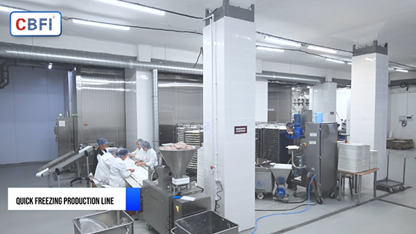 Congélateur rapide à double spirale d’une tonne par heure pour les boulettes en Russie