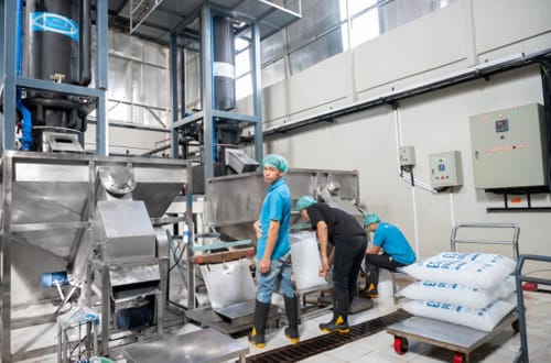 Machine à glace en tube de 60 tonnes en Indonésie