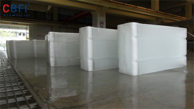 Malaisie--Projet d'usine de fabrication de briques de glace de grande taille de 100 tonnes