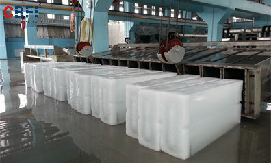 Malaisie--Projet de grande fabrique de briques de glace de 60T