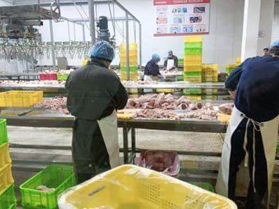 Projet d’abattoir et de traitement de poulet au Tadjikistan