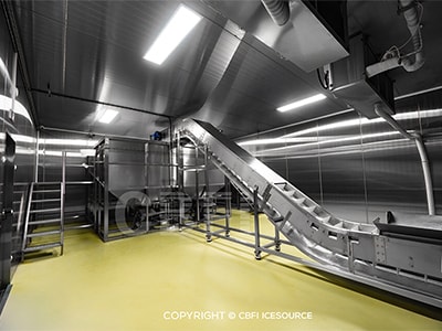 CBFI a conçu une usine entièrement automatisée de gobelets de glaçons de 70 t/jour