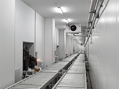 Entrepôt frigorifique autoportant grande hauteur de 100 000 t pour Zhengzhong Cold Chain
